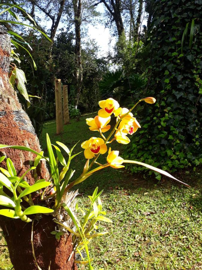 Casa Da Sol Villa Monte Verde  Luaran gambar